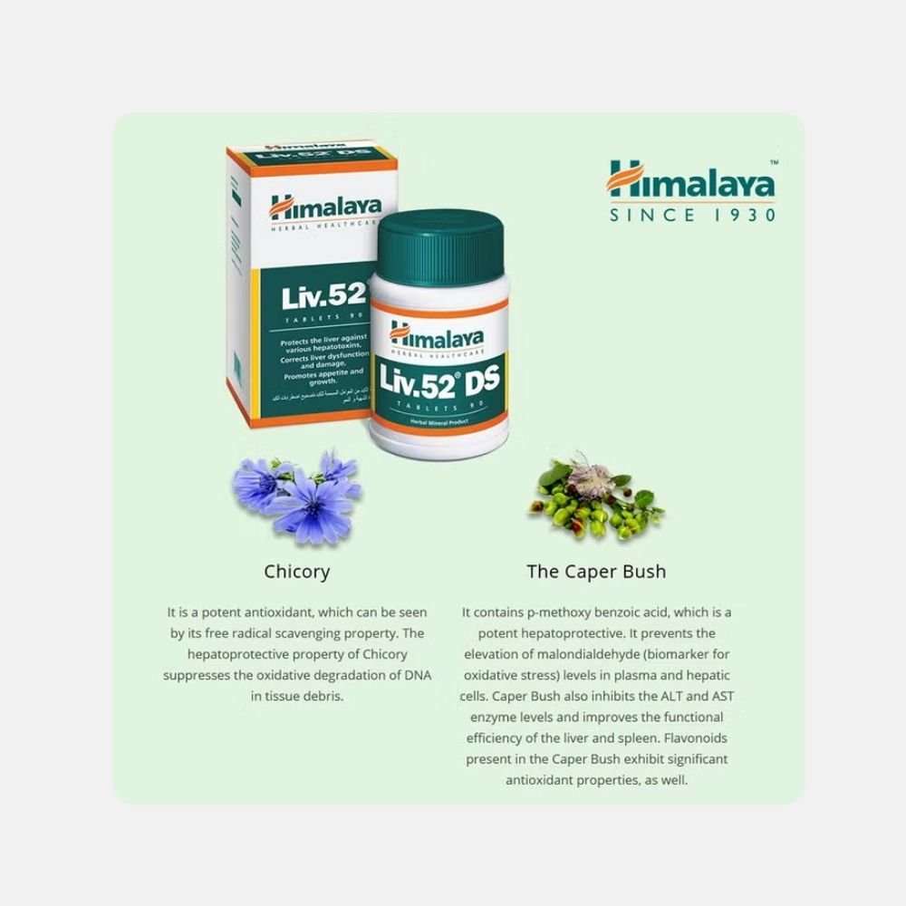 LIV-52 DS Herbal Liver Support - 90 Tablets - Image 4