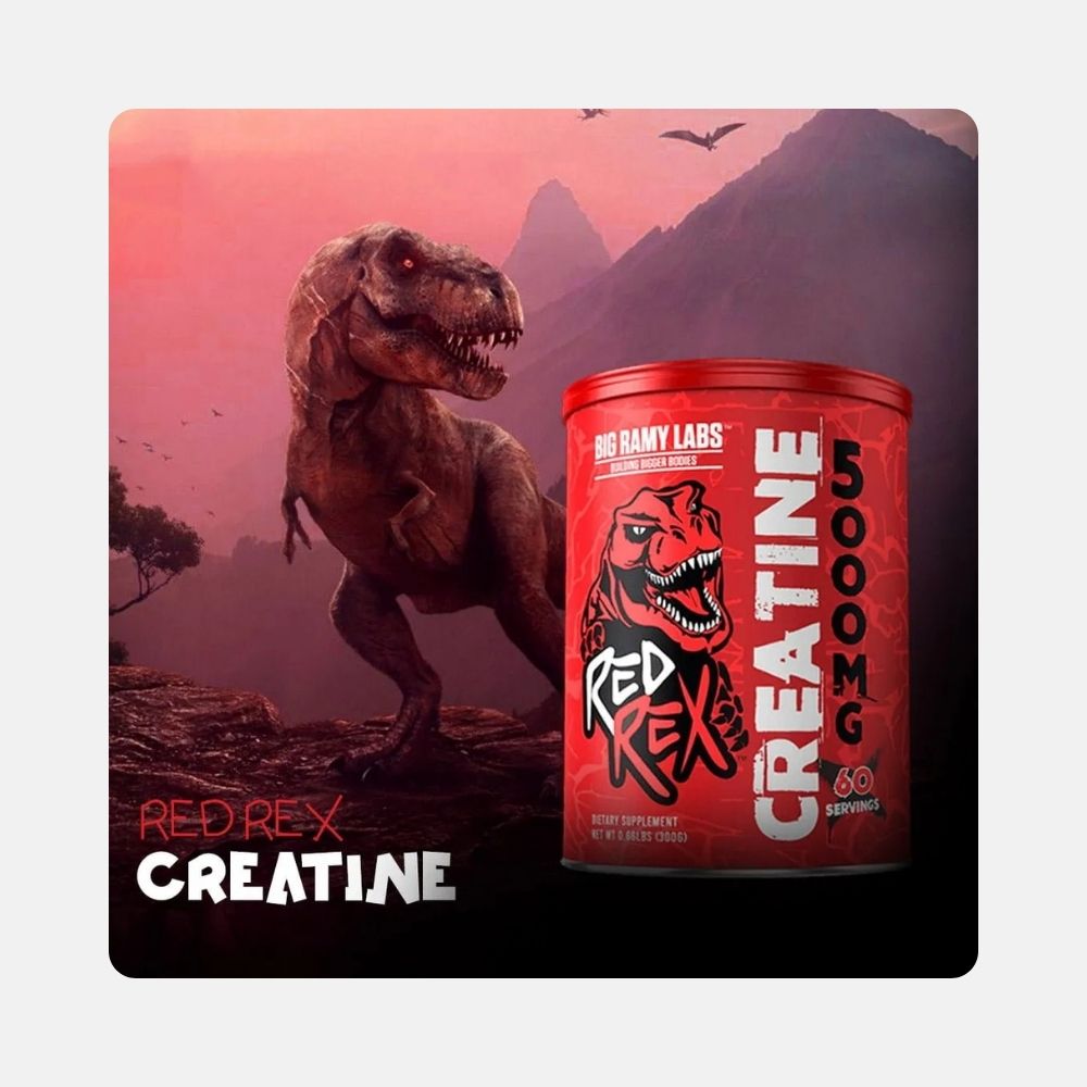 Red Rex Micronized Creatine Monohydrate Powder 300g - Image 2