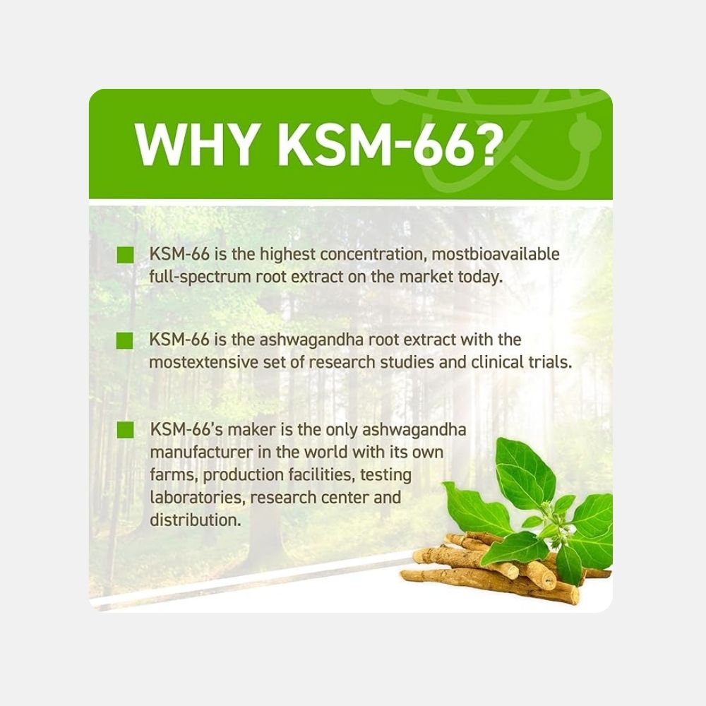 Applied Nutrition KSM-66 Ashwagandha Capsules (60 Count) - Image 2